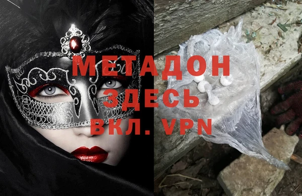 шишки Белокуриха