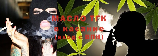 индика Беломорск