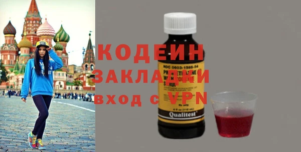 шишки Белокуриха