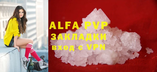 индика Беломорск