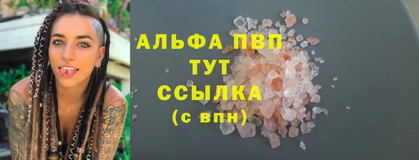 шишки Белокуриха