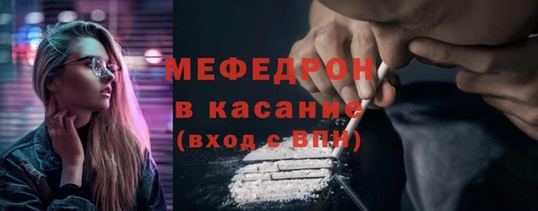 шишки Белокуриха