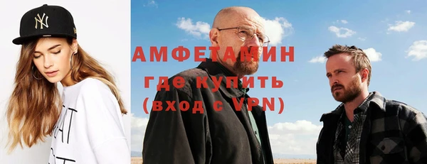 шишки Белокуриха