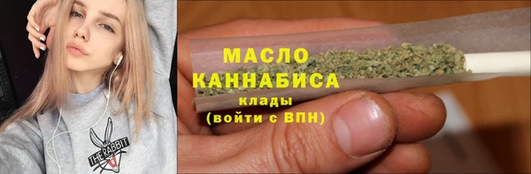 индика Беломорск