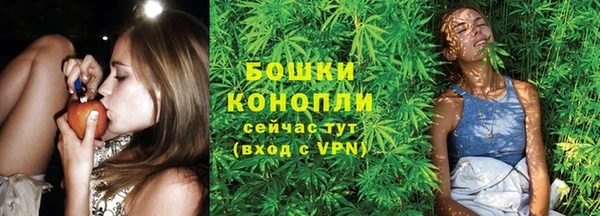 индика Беломорск