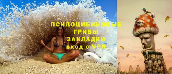 шишки Белокуриха