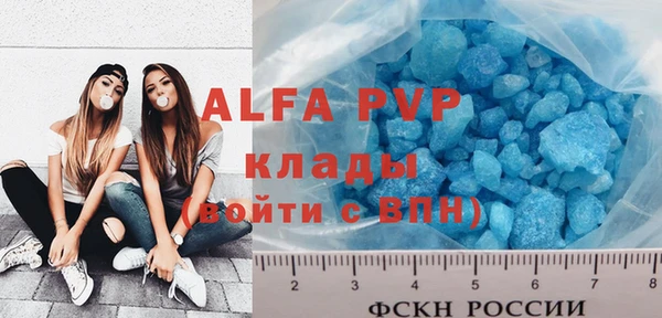 индика Беломорск