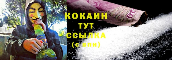 шишки Белокуриха