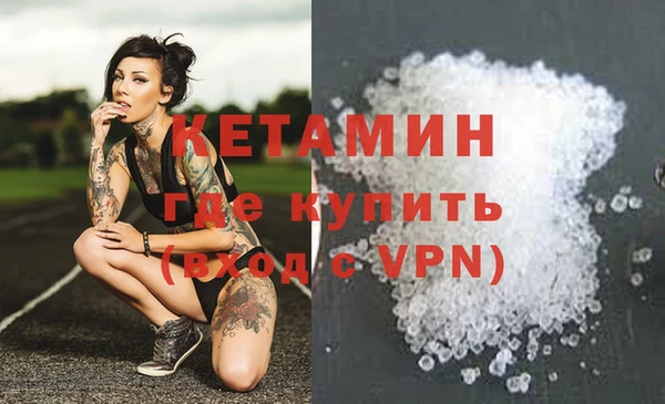 шишки Белокуриха