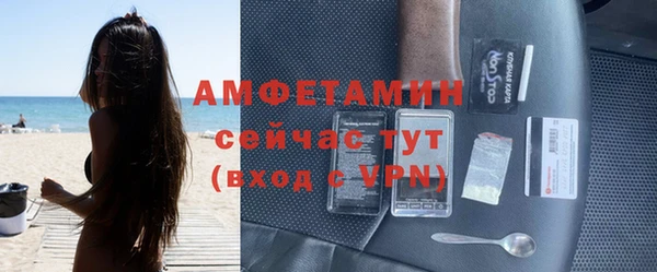 шишки Белокуриха