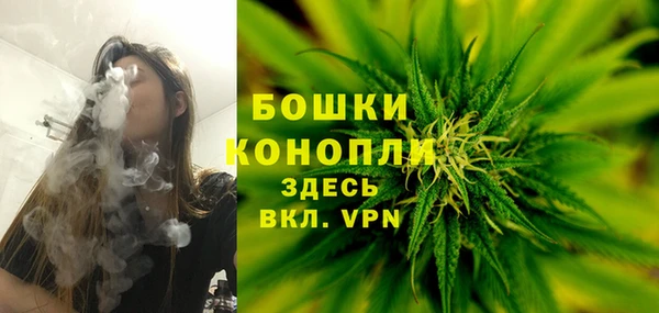 шишки Белокуриха