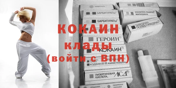 шишки Белокуриха