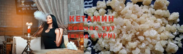 шишки Белокуриха