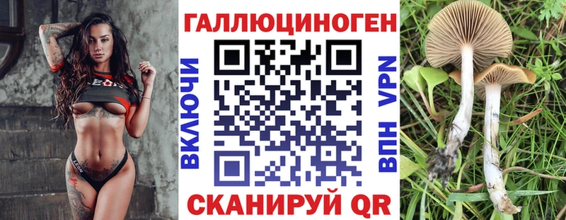 Галлюциногенные грибы Psilocybine cubensis  Велиж 